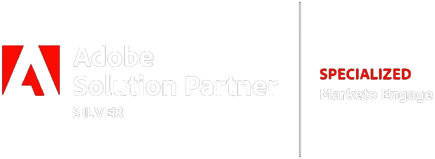 Adobe Silver Solution Partner — Specialized in Marketo Engage