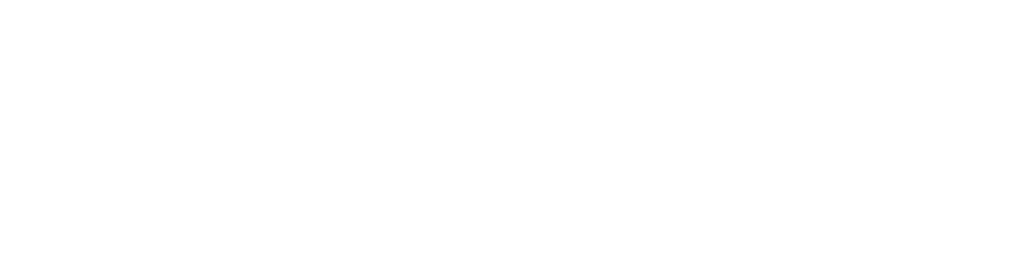 Adobe Silver Solution Partner